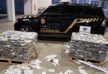 PF apreende droga em carga de manga no Porto de Natal