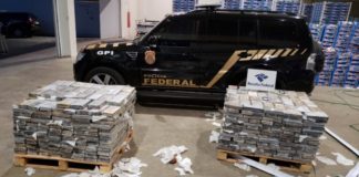 PF apreende droga em carga de manga no Porto de Natal