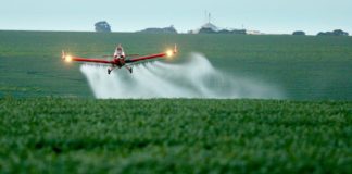 Governo federal aprova registro de mais 31 agrotóxicos, somando 169 no ano