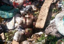 ITEP busca parentes para sepultar bebê jogada no lixão de Caicó