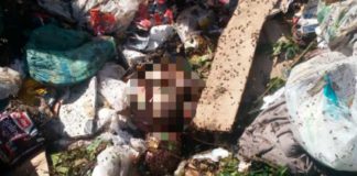 ITEP busca parentes para sepultar bebê jogada no lixão de Caicó