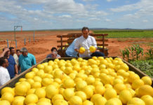 Exportações do RN cresceram 26% nos primeiros três meses do ano
