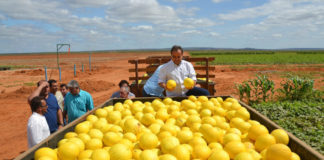 Exportações do RN cresceram 26% nos primeiros três meses do ano