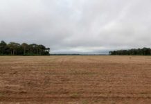 Novo sistema detecta 4,5 mil focos de desmatamento em 6 meses e gera laudo completo para órgãos Vista da BR-163, estrada que liga Santarém, no Pará, a Cuiabá, no Mato Grosso