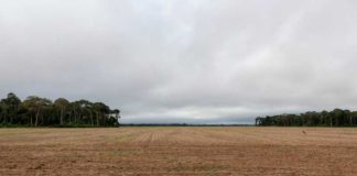 Novo sistema detecta 4,5 mil focos de desmatamento em 6 meses e gera laudo completo para órgãos Vista da BR-163, estrada que liga Santarém, no Pará, a Cuiabá, no Mato Grosso