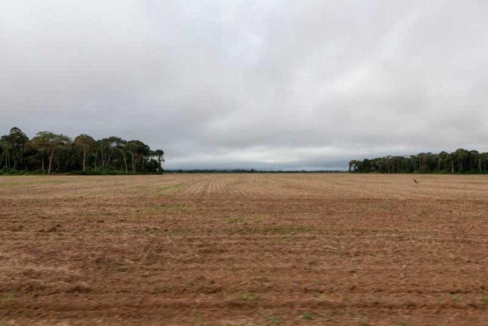 Vista da BR-163, estrada que liga Santarém, no Pará, a Cuiabá, no Mato Grosso