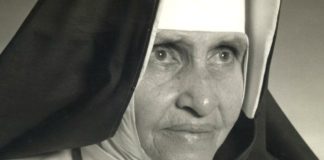 Veja como será a Oração de Irmã Dulce quando virar santa Beata Irmã Dulce Lopes Pontes