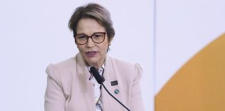 Selo Arte vai beneficiar 170 mil produtores de queijos artesanais Segundo Tereza Cristina, o decreto vai facilitar a venda de queijos artesanais para outros estados - Valter Campanato/Agência Brasil