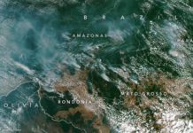Queimadas na Amazônia estão na média dos últimos 15 anos, diz NASA