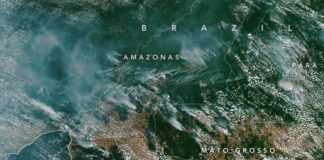 Queimadas na Amazônia estão na média dos últimos 15 anos, diz NASA