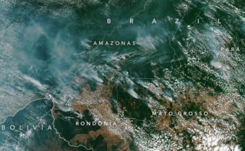 Queimadas na Amazônia estão na média dos últimos 15 anos, diz NASA