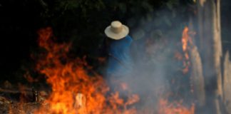 Bolsonaro autoriza uso das Forças Armadas contra incêndios na Amazônia Fotos: REUTERS / Bruno Kelly