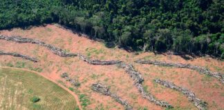 Bolsonaro tem 72 horas para explicar medidas contra queimadas, determina juiz O aumento das queimadas na Floresta Amazônica tornou-se pauta internacional na última semana