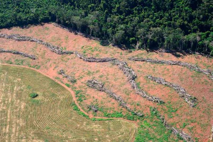 O aumento das queimadas na Floresta Amazônica tornou-se pauta internacional na última semana