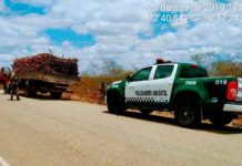 PM apreende carga ilegal de madeira em Jucurutu/RN PM/ASSECOM