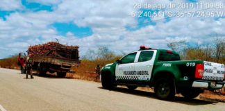 PM apreende carga ilegal de madeira em Jucurutu/RN PM/ASSECOM