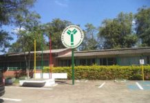 Homem invade escola no RS, ataca alunos e professores com machadinha e tenta incendiar sala Instituto Estadual Educacional Assis Chateaubriand, em Charqueadas, no RS (Reprodução/Twitter)