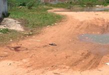 Criminosos matam pai e deixam filho baleado na Grande Natal Pedreiro foi assassinado e filho ficou ferido na Redinha Nova, na Grande Natal. — Foto: Mariana Rocha/Inter TV Cabugi