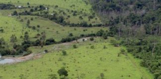 Começa hoje prazo para entrega da declaração de propriedade rural