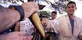 Siemens Gamesa está apoiando produção de mel sustentável em várias cidades do Mato Grande