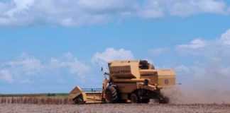 Novas tecnologias digitais auxiliam produção no campo