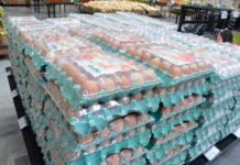 Goianinha receberá maior empresa de embalagens sustentáveis do Brasil Com a instalação no Rio Grande do Norte, a pretensão da empresa é abastecer toda a região Nordeste | Foto: José Aldenir / Agora RN