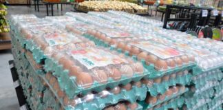 Goianinha receberá maior empresa de embalagens sustentáveis do Brasil Com a instalação no Rio Grande do Norte, a pretensão da empresa é abastecer toda a região Nordeste | Foto: José Aldenir / Agora RN