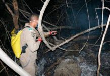 ‘Maiores focos já foram debelados’, diz Corpo de Bombeiros sobre incêndio que atinge a Serra do Lima, em Patu, RN Maiores focos de incêndio já foram apagados, segundo o Corpo de Bombeiros — Foto: CBM-RN