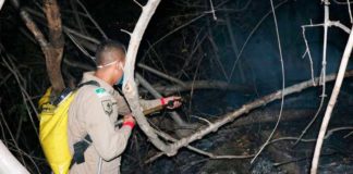 ‘Maiores focos já foram debelados’, diz Corpo de Bombeiros sobre incêndio que atinge a Serra do Lima, em Patu, RN Maiores focos de incêndio já foram apagados, segundo o Corpo de Bombeiros — Foto: CBM-RN