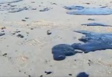 Técnicos da SETMADE e voluntários de Ceará-Mirim devem receber treinamento para conter manchas de óleo nas praias do litoral Manchas de óleo apareceram em praias do Rio Grande do Norte e também outros estados nordestinos — Foto: Reprodução