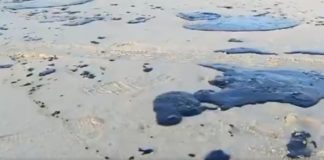 Veja quais são as praias atingidas pelo óleo no RN Manchas de óleo apareceram em praias do Rio Grande do Norte e também outros estados nordestinos — Foto: Reprodução