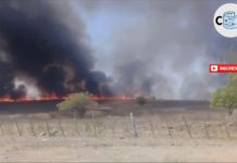Incêndio atinge vegetação de interior do RN e é controlado por bombeiros; veja vídeo