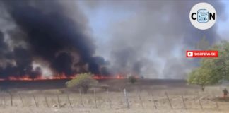 Incêndio atinge vegetação de interior do RN e é controlado por bombeiros; veja vídeo