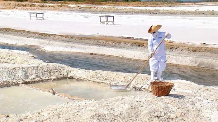 Flor de Sal é colhida em salina de Mossoró — Foto: Reprodução/Inter TV Cabugi