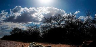 Pesquisas da UFRN mostram que falta de políticas públicas é principal fator de emigração no semiárido nordestino Segundo pesquisadores da UFRN, a seca, apesar de sempre ser relacionada como o motivo central dessa emigração, não aparece como razão preponderante — Foto: Cícero Oliveira/UFRN