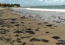 Material escuro aparece na areia de praias do Rio Grande do Norte Manchas escuras também foram vistas na praia de Camurupim, no RN — Foto: Redes Sociais