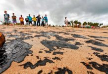 Ministério cancela a proibição da pesca de camarão e lagosta que valeria a partir de novembro no Nordeste Manchas de óleo em Japaratinga, AL — Foto: Felipe Brasil