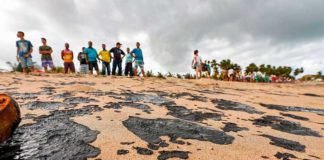 Ministério cancela a proibição da pesca de camarão e lagosta que valeria a partir de novembro no Nordeste Manchas de óleo em Japaratinga, AL — Foto: Felipe Brasil
