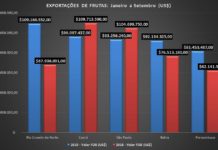 Exportação de frutas cresce 61% e RN assume liderança nacional