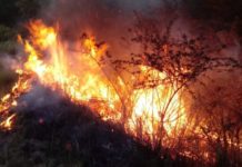 Ceará-Mirim registra três incêndios florestais em duas semanas