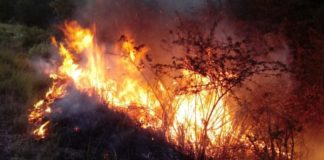 Ceará-Mirim registra três incêndios florestais em duas semanas