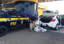 Flagrados com 2 kg de cocaína, homem e mulher são presos na BR 101 na Grande Natal Droga foi encontrada com homem e mulher, durante abordagem em São José de Mipibu — Foto: PRF/Divulgação