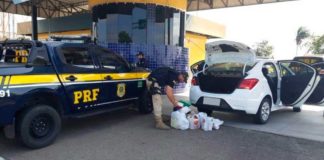 Flagrados com 2 kg de cocaína, homem e mulher são presos na BR 101 na Grande Natal Droga foi encontrada com homem e mulher, durante abordagem em São José de Mipibu — Foto: PRF/Divulgação