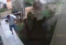 Homem tenta matar baratas com gasolina e explode quintal. Veja o vídeo