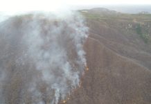 Governo do RN decreta situação de emergência por causa de incêndios florestais Incêndio florestal atinge mata na zona rural do município de Portalegre, no RN. — Foto: Corpo de Bombeiros/Divulgação