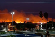 Após seis horas, Corpo de Bombeiros controla incêndio florestal em Ceará-Mirim Incêndio florestal atinge Ceará-Mirim nesta noite — Foto: Redes sociais