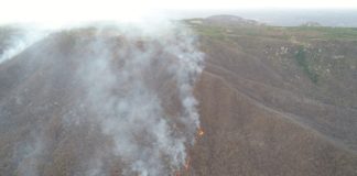 Governo do RN decreta situação de emergência por causa de incêndios florestais Incêndio florestal atinge mata na zona rural do município de Portalegre, no RN. — Foto: Corpo de Bombeiros/Divulgação