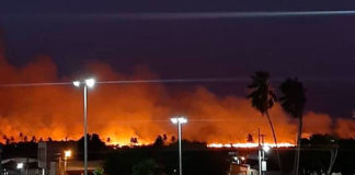 Após seis horas, Corpo de Bombeiros controla incêndio florestal em Ceará-Mirim Incêndio florestal atinge Ceará-Mirim nesta noite — Foto: Redes sociais