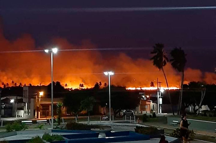 Incêndio florestal atinge Ceará-Mirim nesta noite — Foto: Redes sociais
