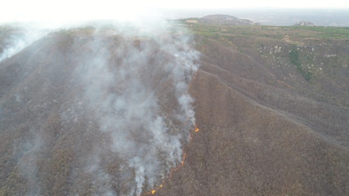 Incêndio florestal atinge mata na zona rural do município de Portalegre, no RN. — Foto: Corpo de Bombeiros/Divulgação